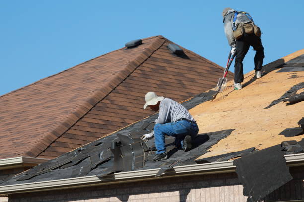 Professional  Roofing repair and installation in Fayetteville, TN